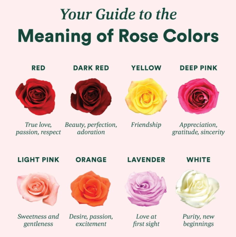 Meaning Of Rose Colors – Barefoot Stiletto