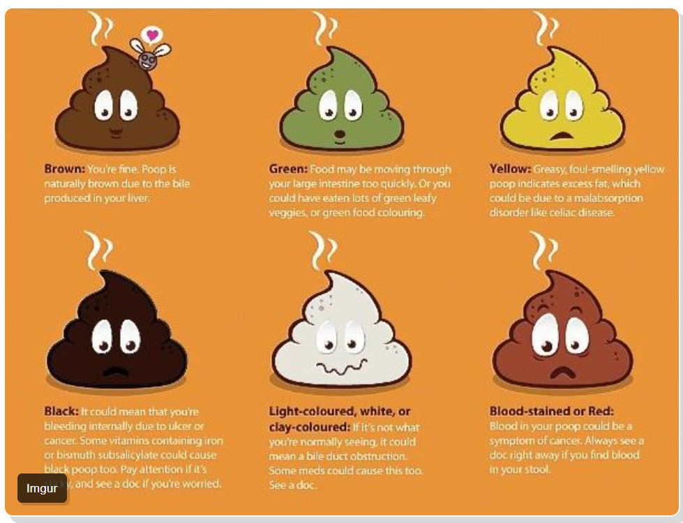 Know Your Poo