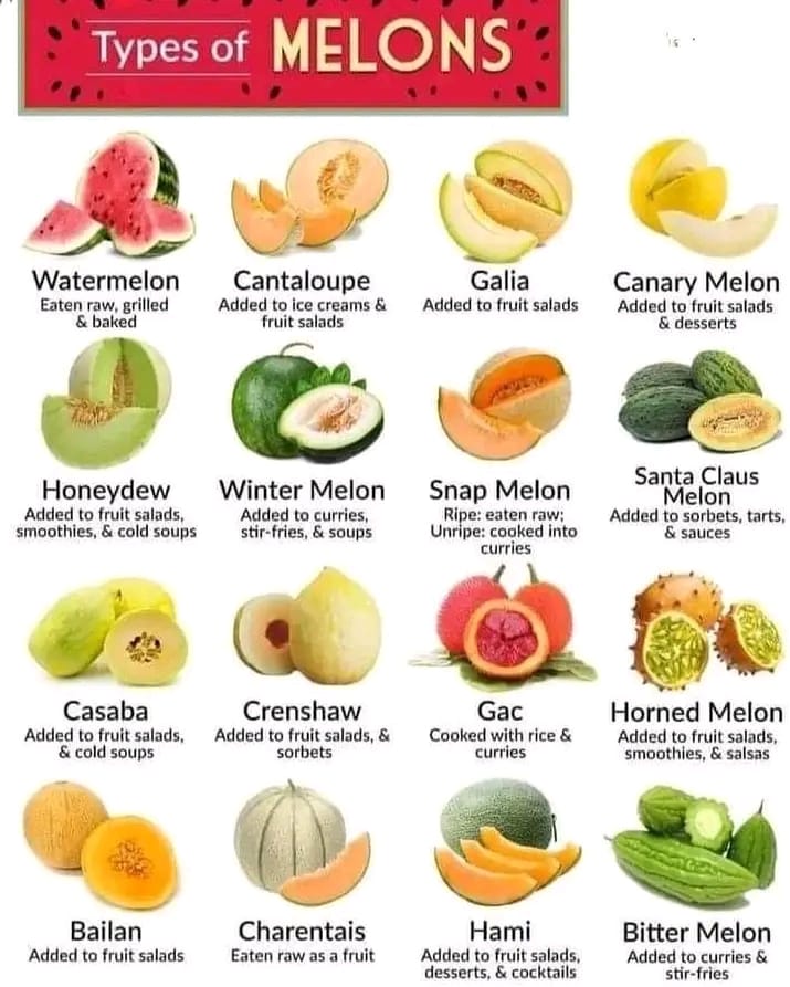 Types of Melon