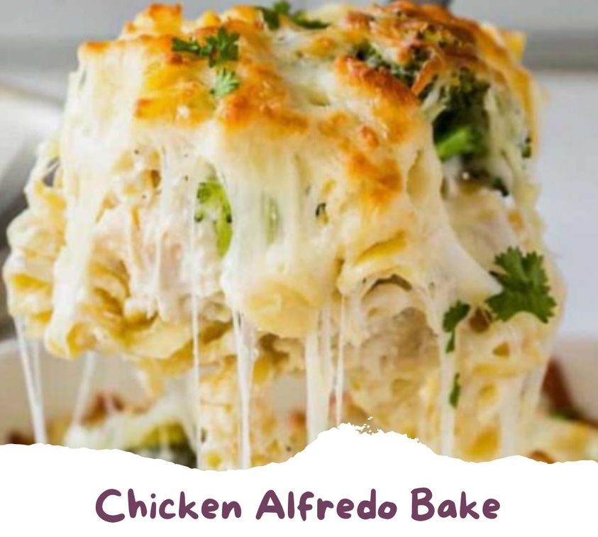 Chicken Alfredo Bake